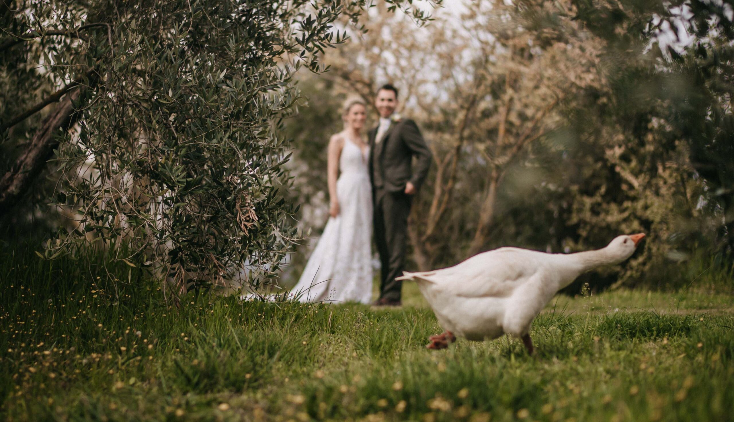 bride and groom portrait intimate wedding the lazy olive