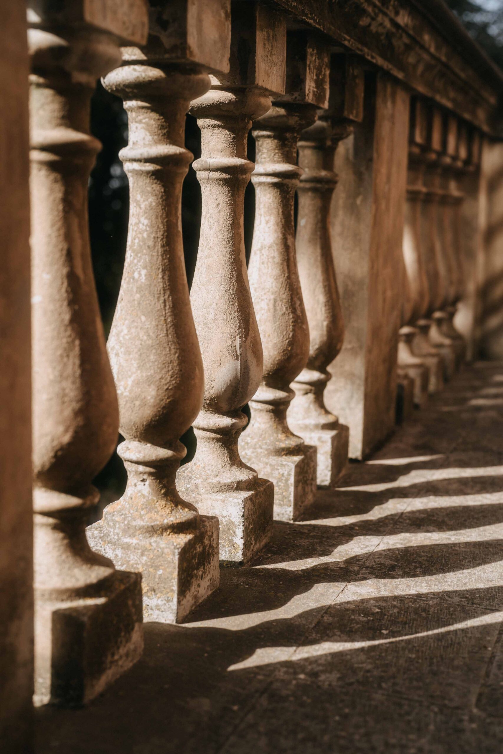 villa mangiacane garden detail
