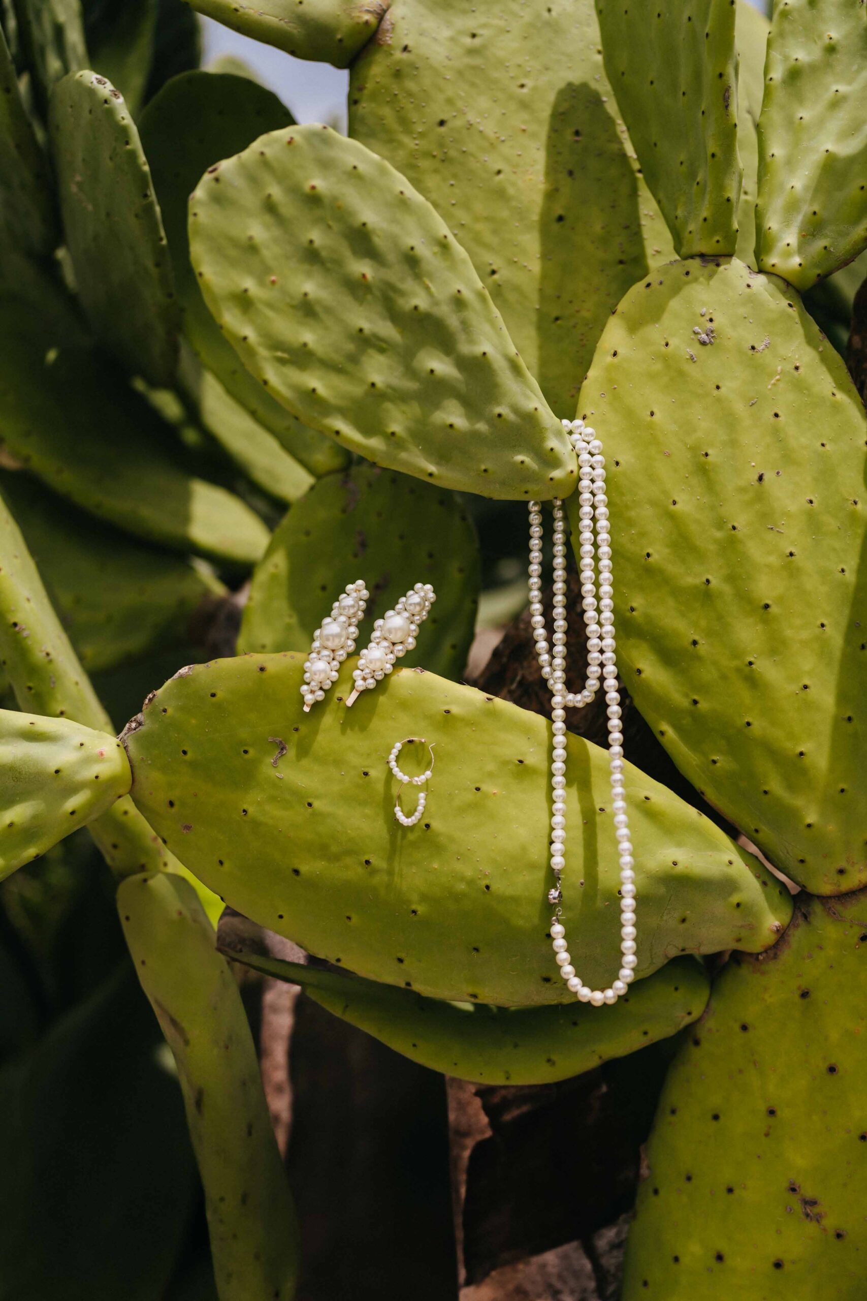 Pearl jewellery resting on prickly pear pads under full summer sun in Puglia
